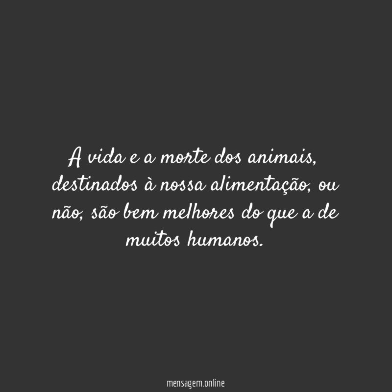 A vida e a morte dos animais