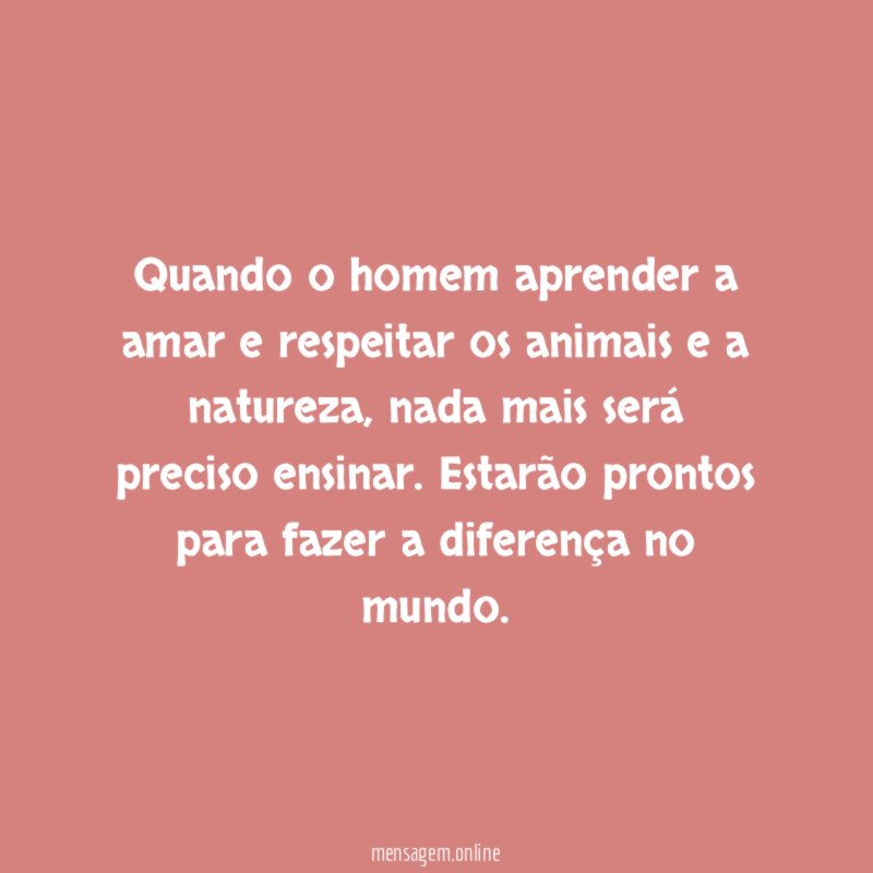 Quando o homem aprender a amar e respeitar
