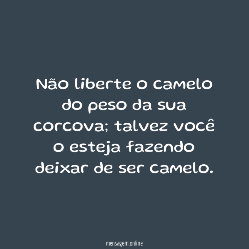 Não liberte o camelo do peso da sua corcova