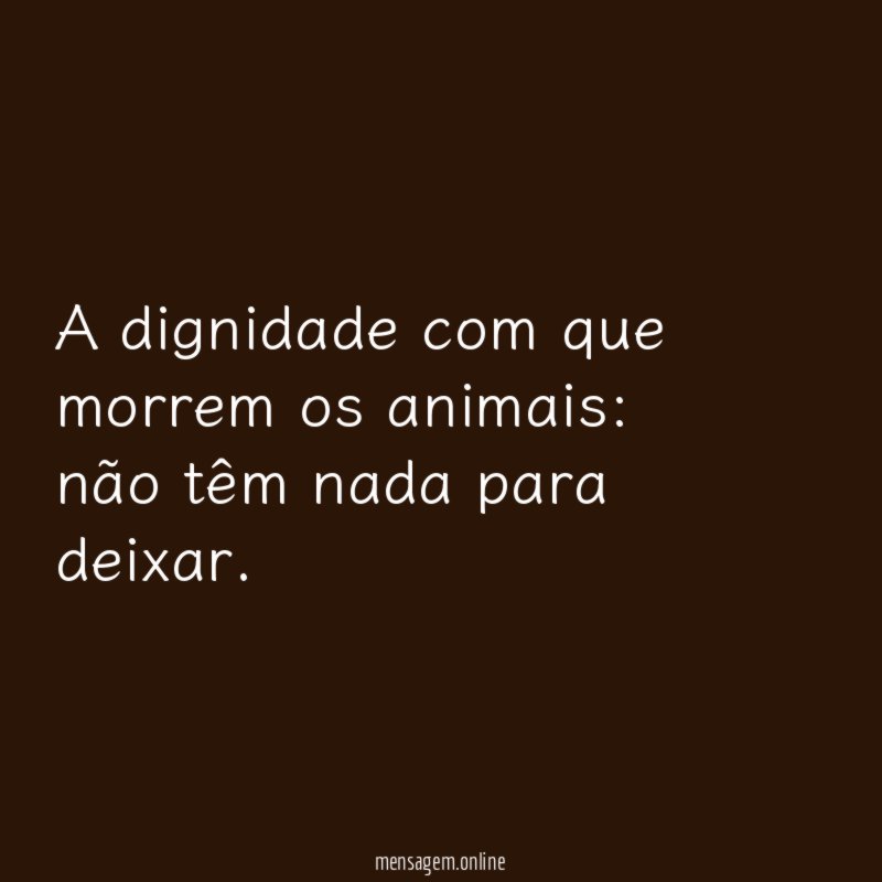 A dignidade com que morrem os animais