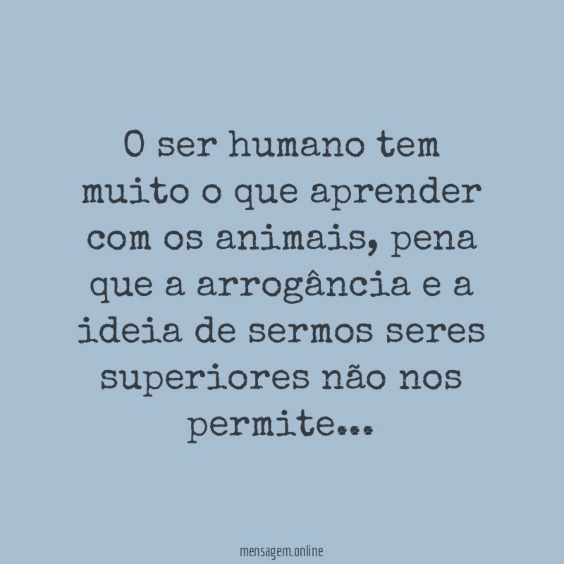 O ser humano tem muito o que aprender com os animais