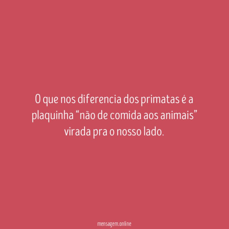 O que nos diferencia dos primatas é a