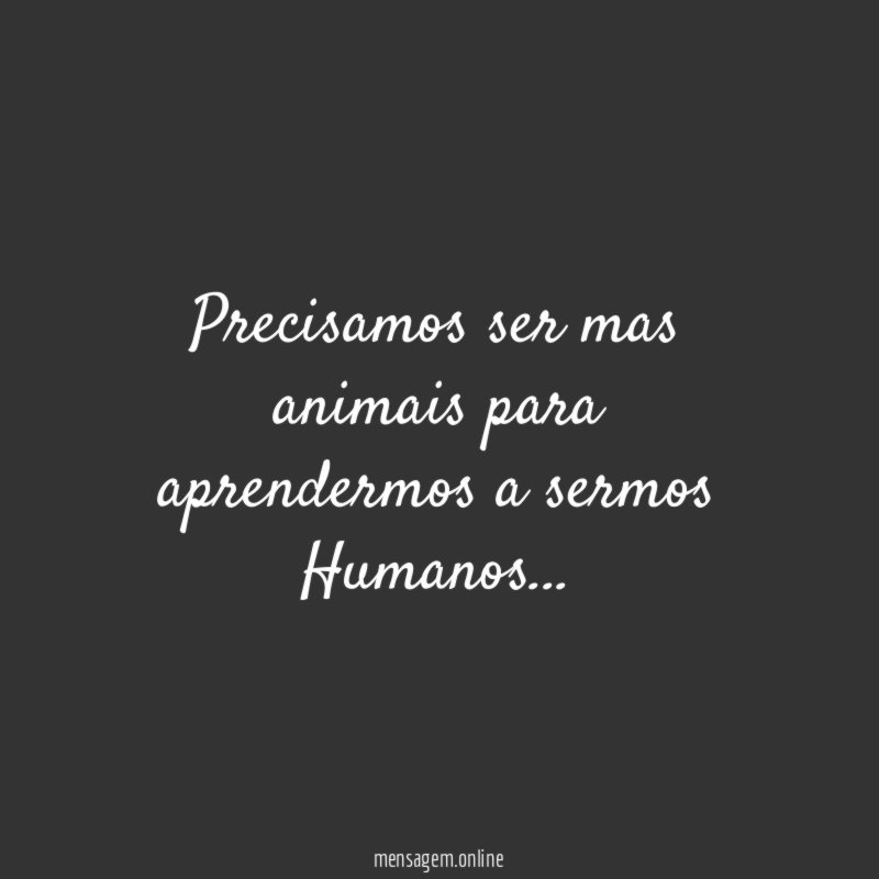 Precisamos ser mas animais para aprendermos a sermos Humanos