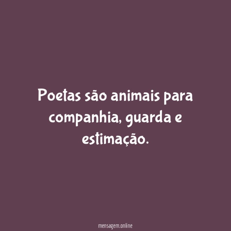 Poetas são animais para companhia
