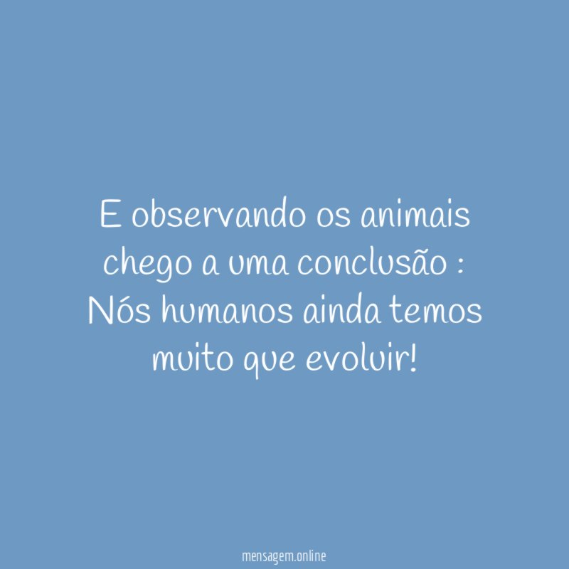 E observando os animais chego a uma conclusão