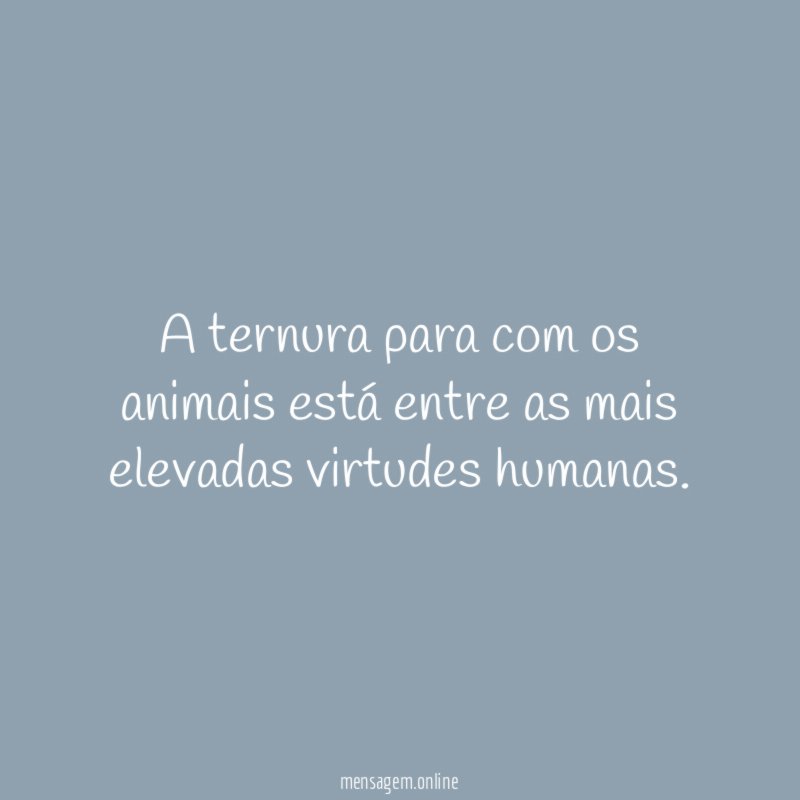 A ternura para com os animais está entre