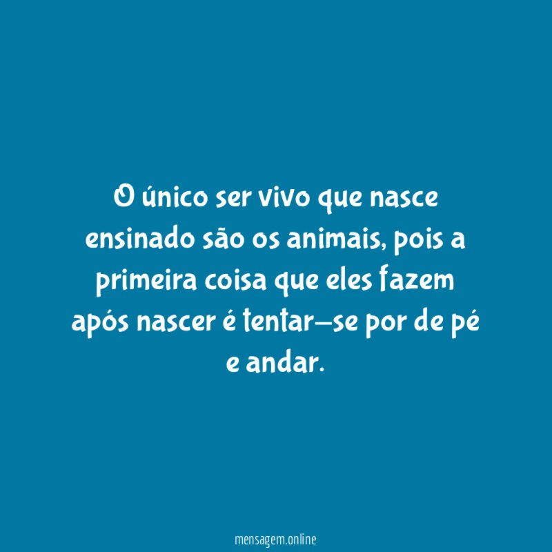O único ser vivo que nasce ensinado são os animais