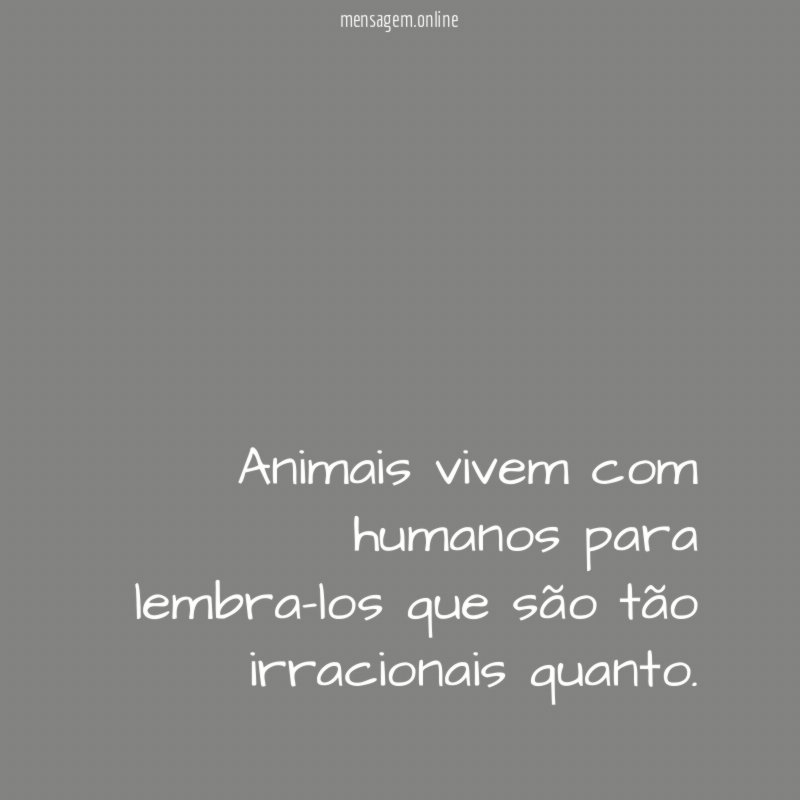 Animais vivem com humanos para lembra-los que são