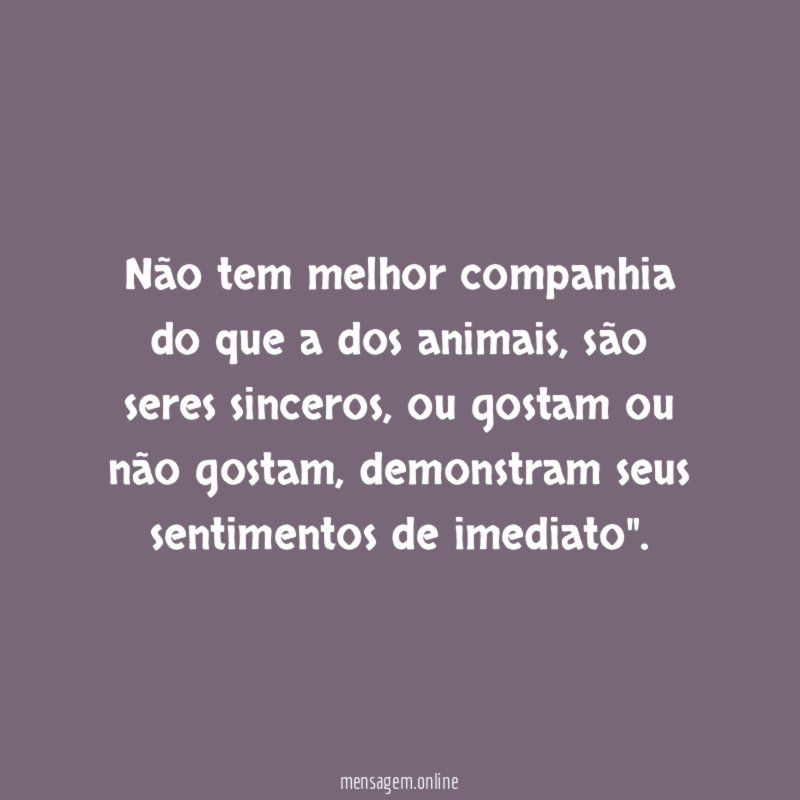 Não tem melhor companhia do que a dos animais