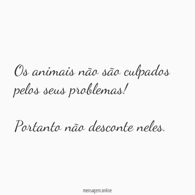 Os animais não são culpados pelos seus problemas