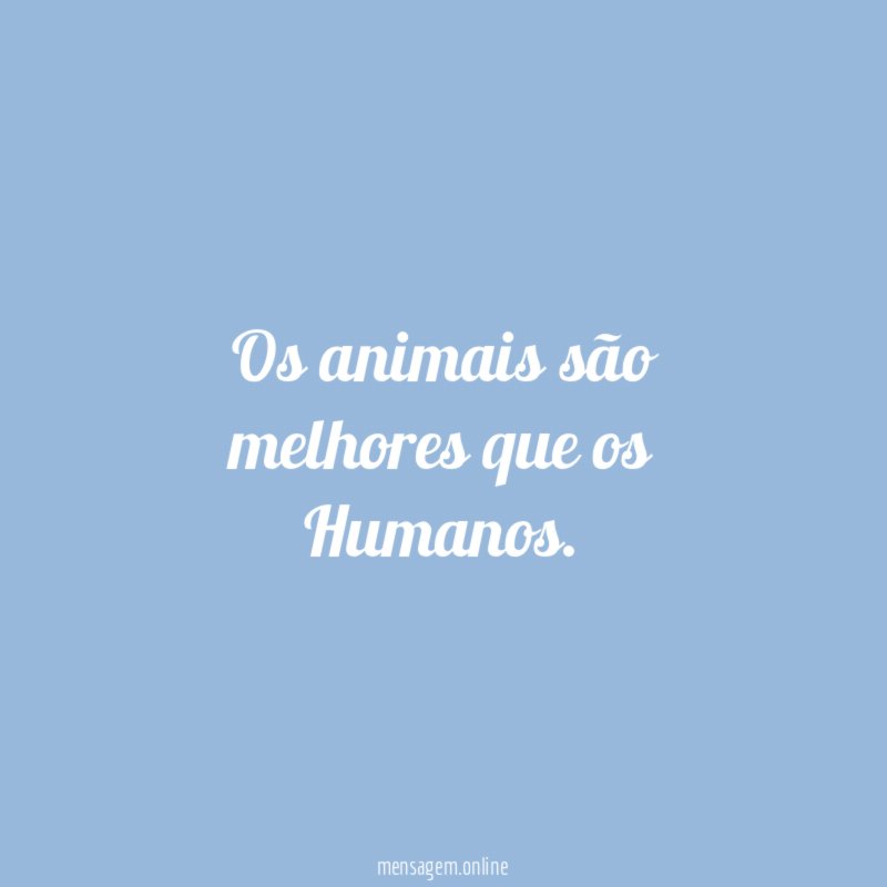 Os animais são melhores que os Humanos