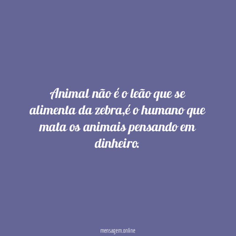 Animal não é o leão que se alimenta da zebra