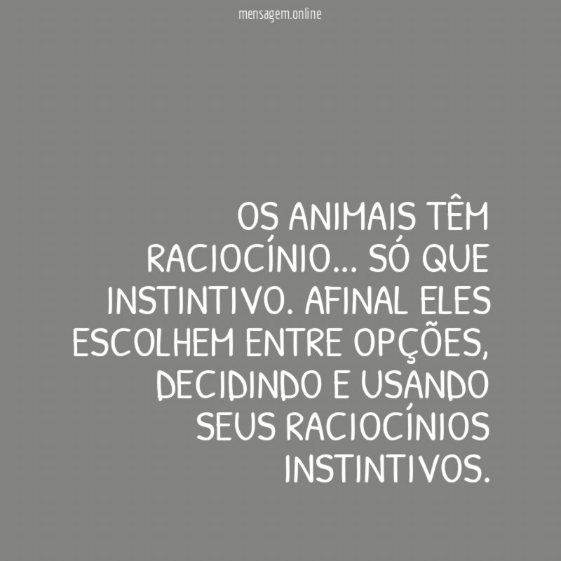 Os animais têm raciocínio