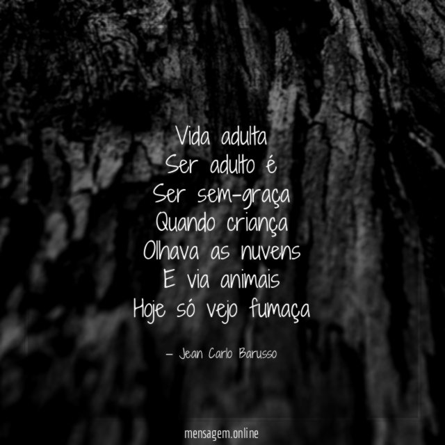 Vida adulta