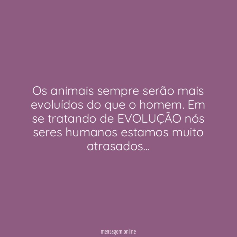 Os animais sempre serão mais evoluídos do que o homem