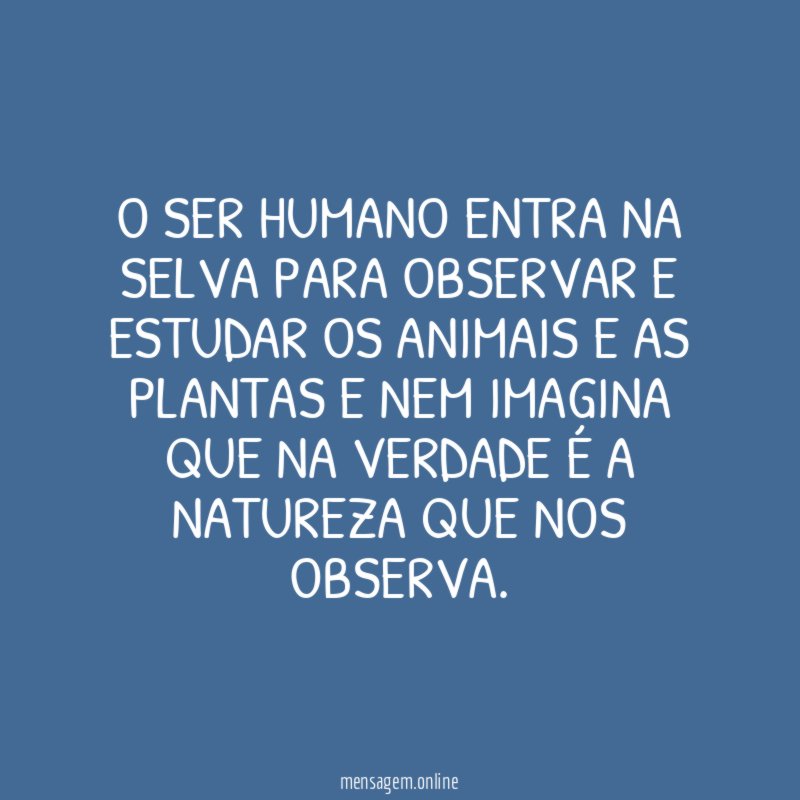 O ser humano entra na selva para observar