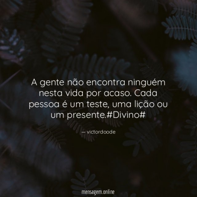 A gente não encontra ninguém nesta vida por acaso