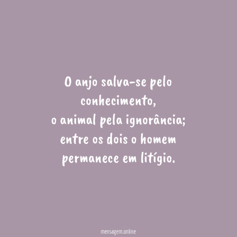 O anjo salva-se pelo conhecimento
