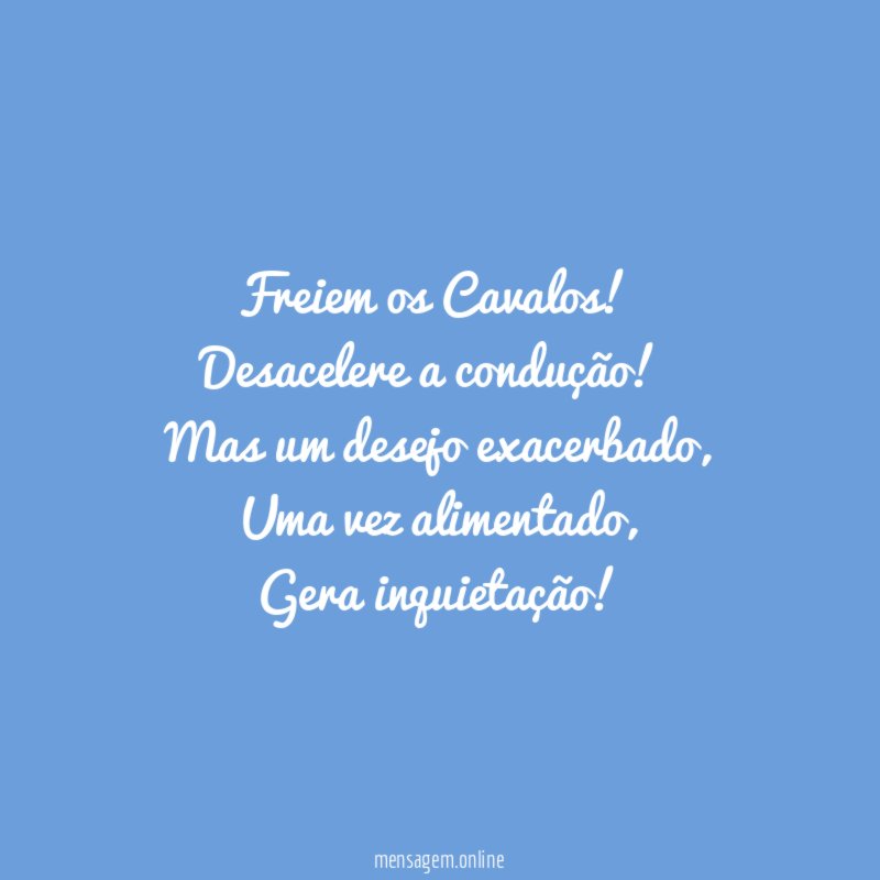 Freiem os Cavalos