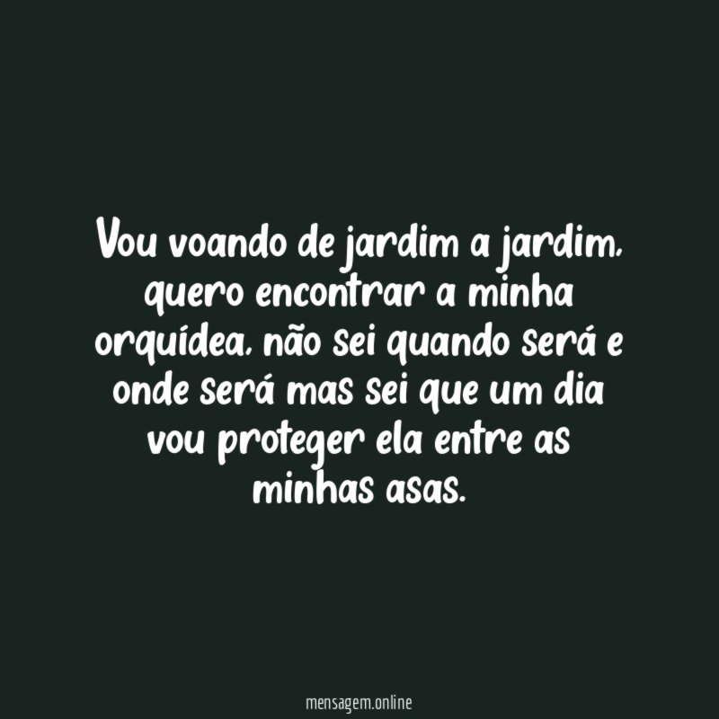 Vou voando de jardim a jardim
