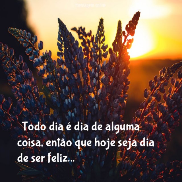 ” Todo dia é dia de alguma coisa