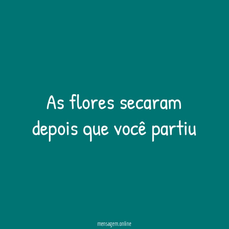 As flores secaram depois que você partiu