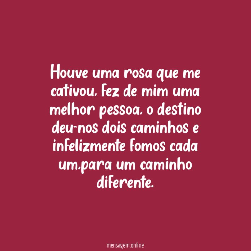 Houve uma rosa que me cativou