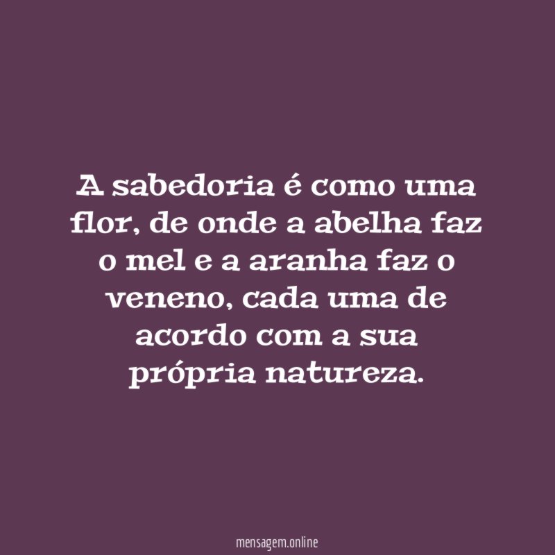 A sabedoria é como uma flor