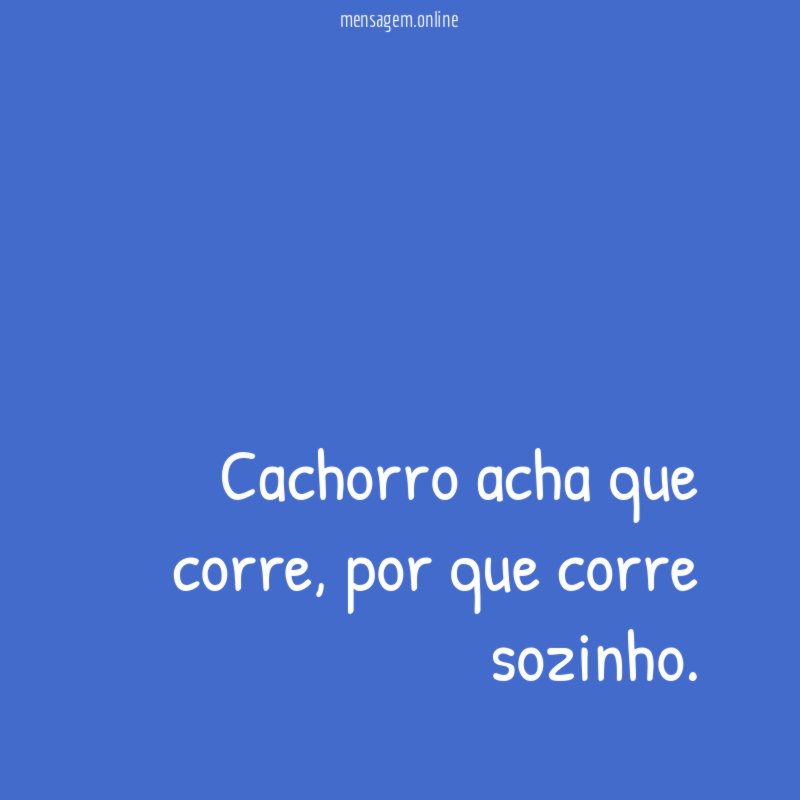 Cachorro acha que corre