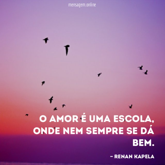 O amor é uma escola