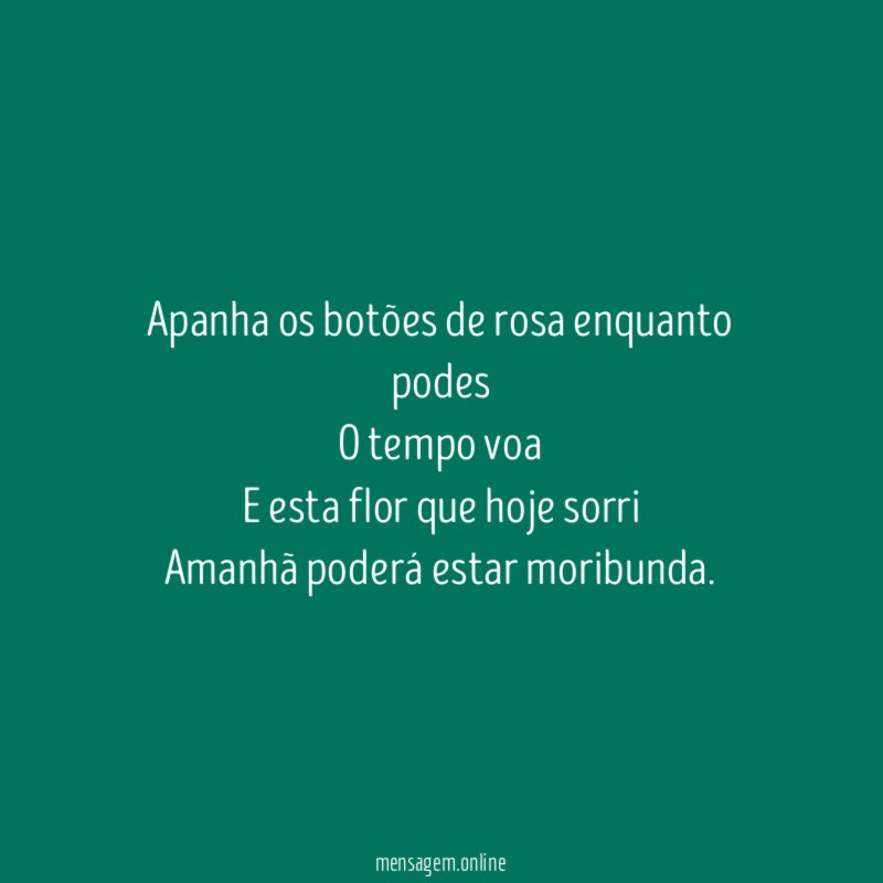 Apanha os botões de rosa enquanto podes O tempo