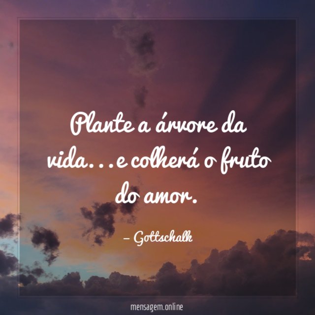 Plante a árvore da vida