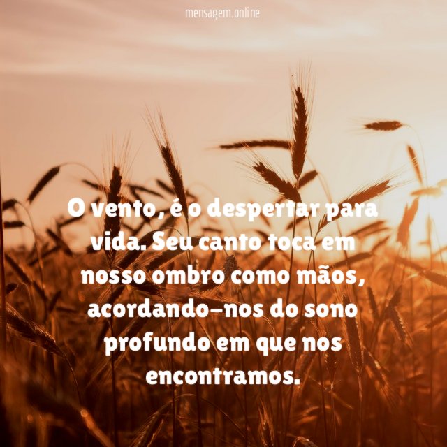 O vento