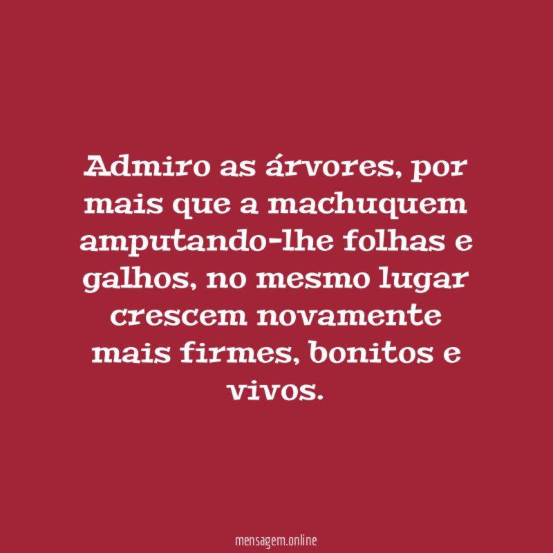 Admiro as árvores