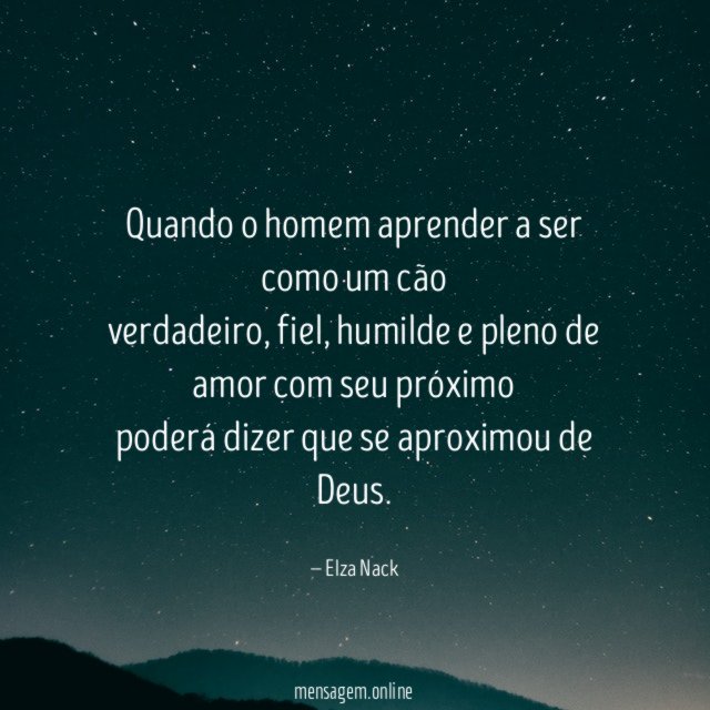 Quando o homem aprender a ser como um cão verdadeiro
