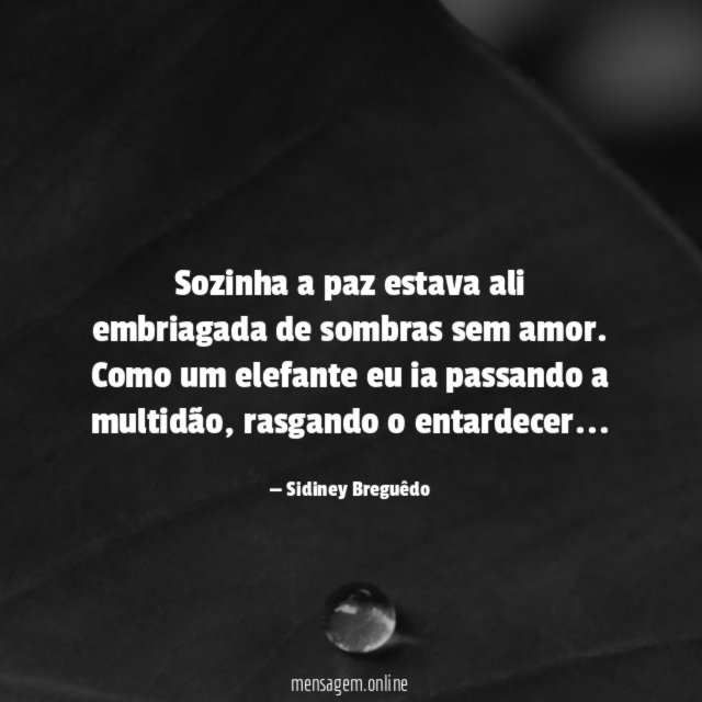 Sozinha a paz estava ali embriagada de sombras sem amor