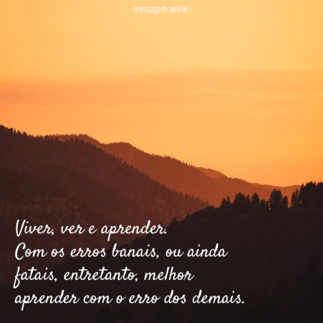Viver