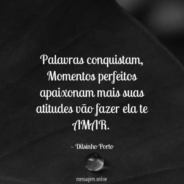 Palavras conquistam