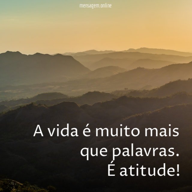 A vida é muito mais que palavras
