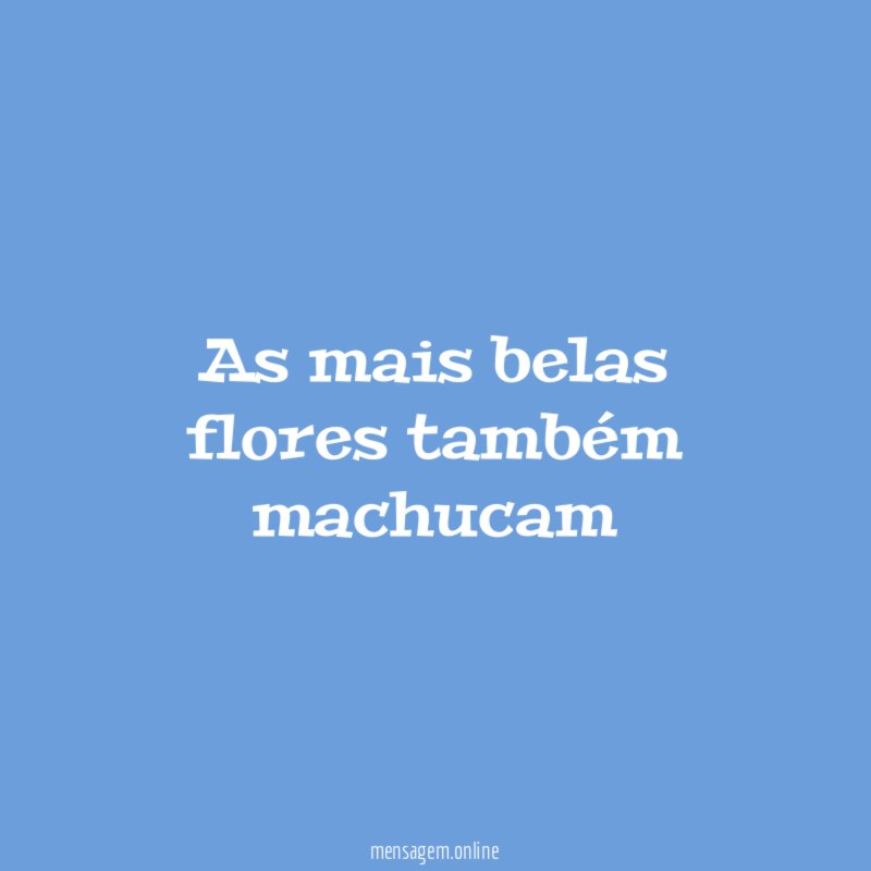 As mais belas flores também machucam