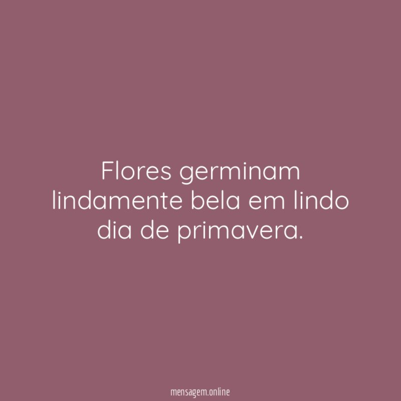 Flores germinam lindamente bela em lindo dia de primavera