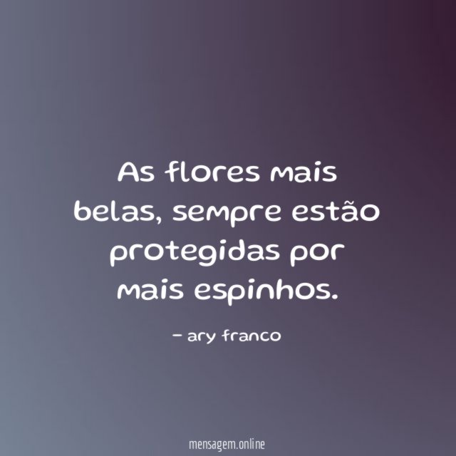 As flores mais belas
