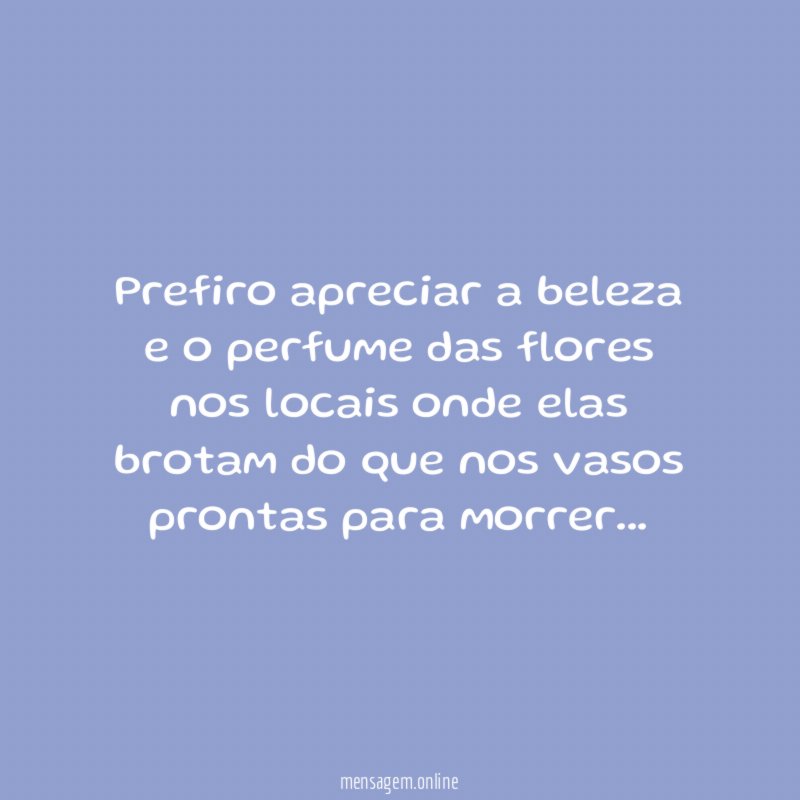 Prefiro apreciar a beleza e o perfume das