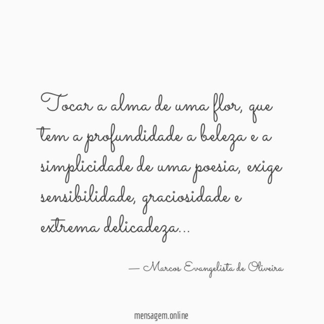 Tocar a alma de uma flor