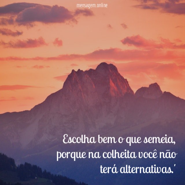 Escolha bem o que semeia