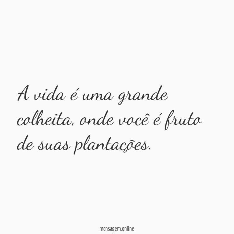 A vida é uma grande colheita