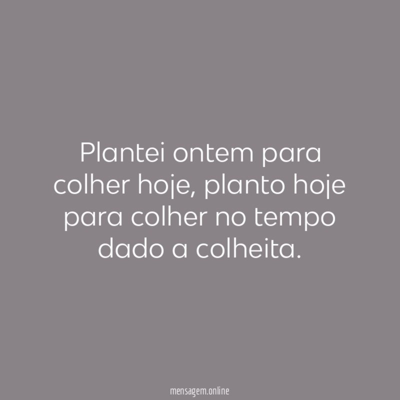 Plantei ontem para colher hoje