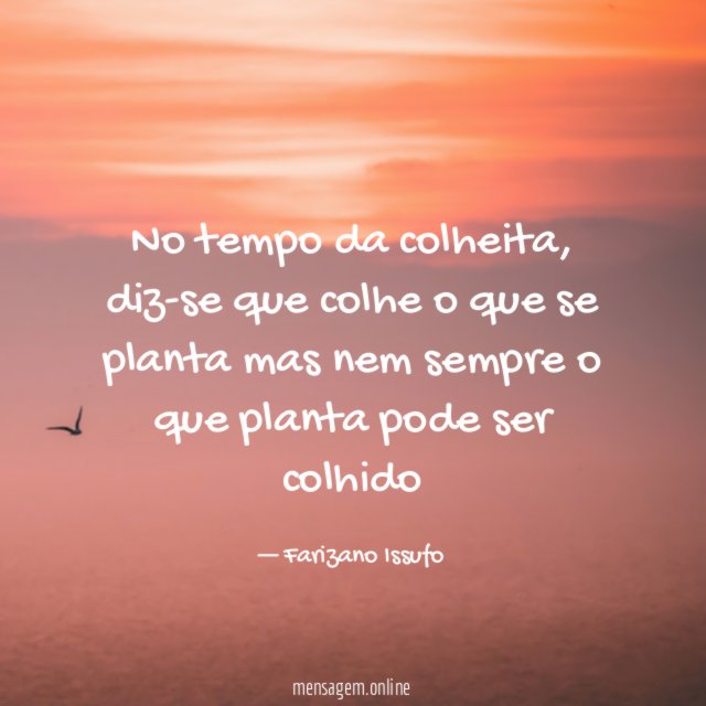 No tempo da colheita