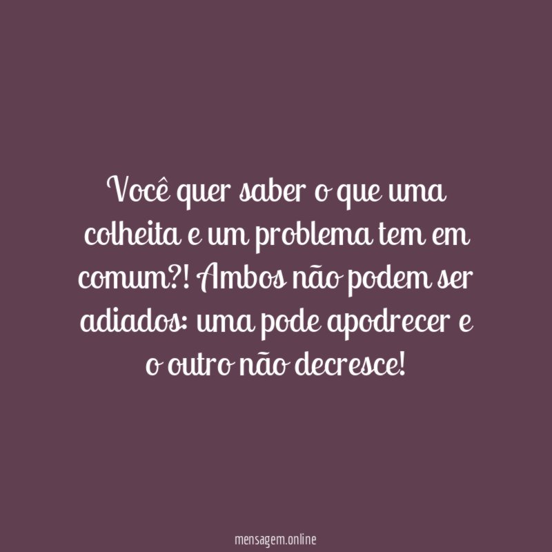 Você quer saber o que uma colheita