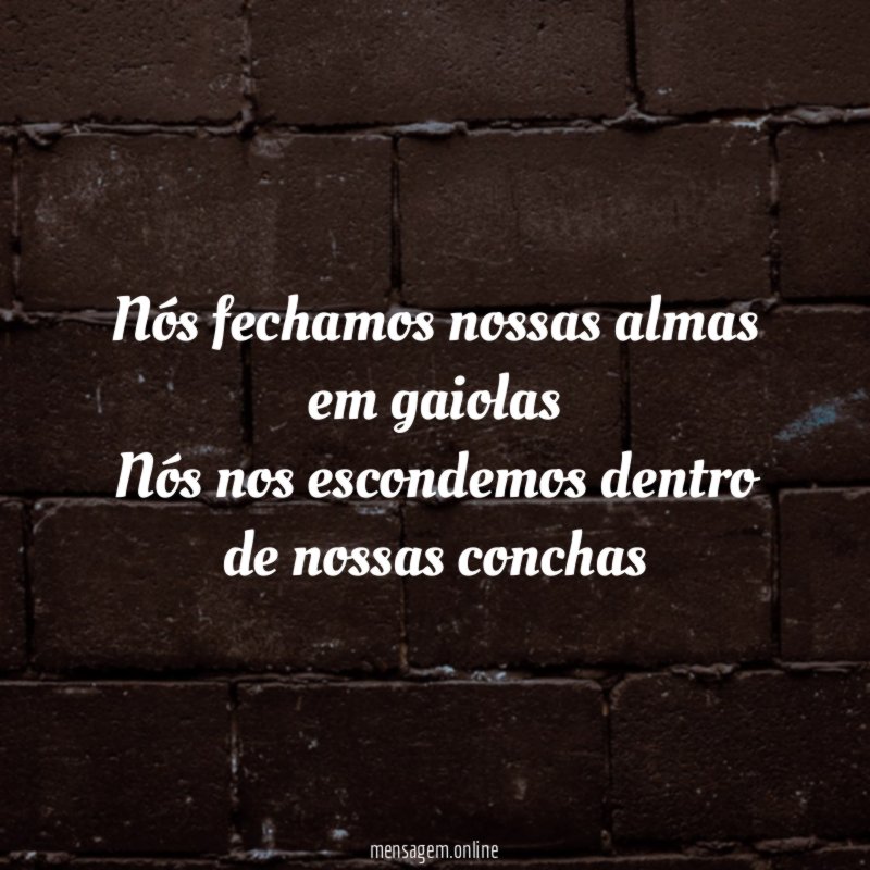 Nós fechamos nossas almas em gaiolas Nós nos escondemos